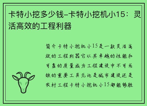 卡特小挖多少钱-卡特小挖机小15：灵活高效的工程利器